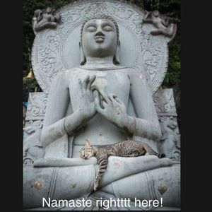 Lokah Samastah Sukhino Bhavantu